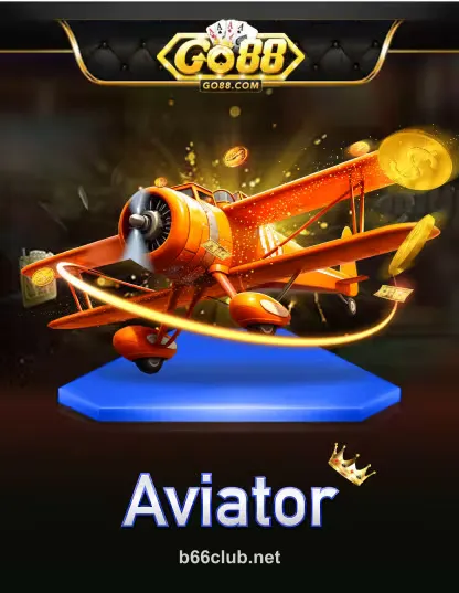 b66 go aviator portrait