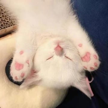 Ảnh đại diện Quỳnh Như